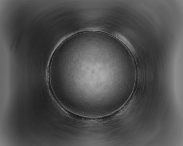 X0000095121436200712141127