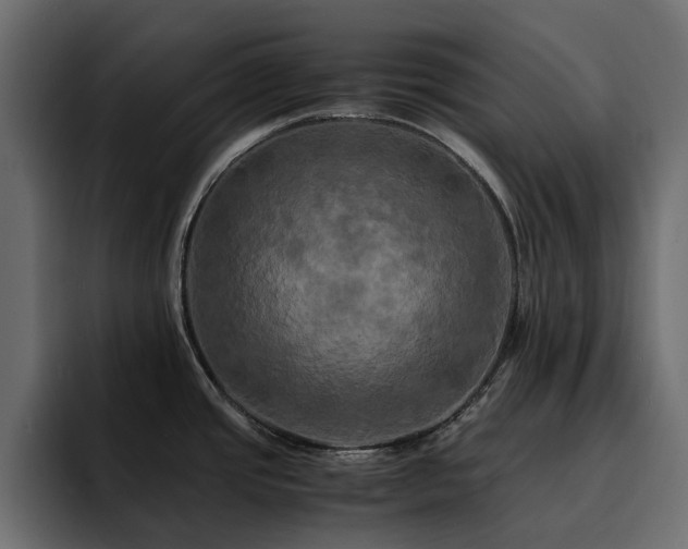 X0000095121437200712141127