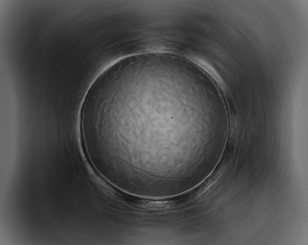 X0000095121439200712141127