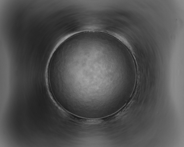 X0000095121440200712141127