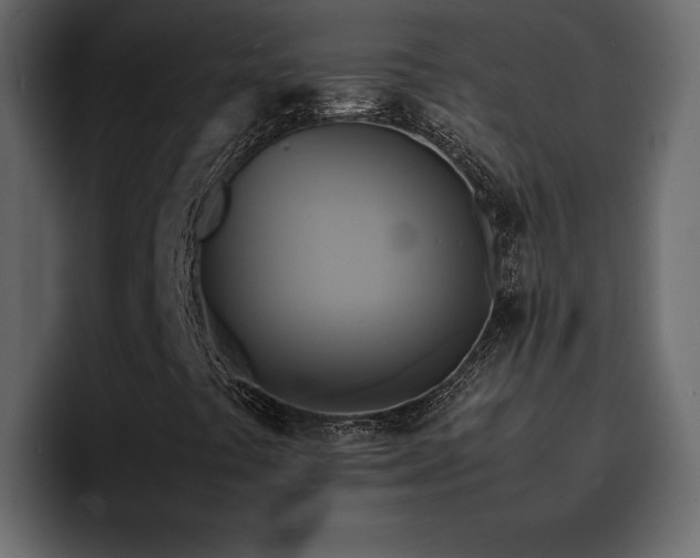 X0000095121441200712141126