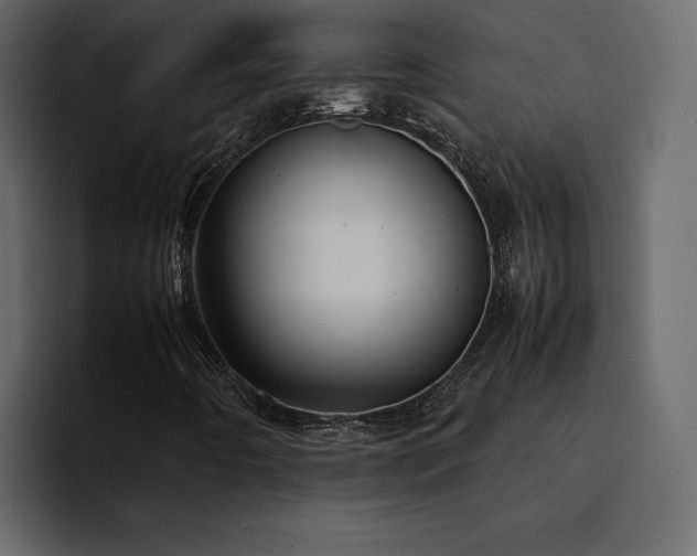 X0000095121442200712141126