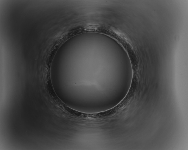 X0000095121445200712141126