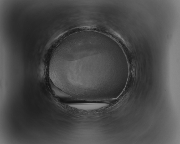 X0000095121448200712141126