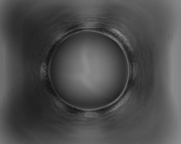 X0000095121449200712141126