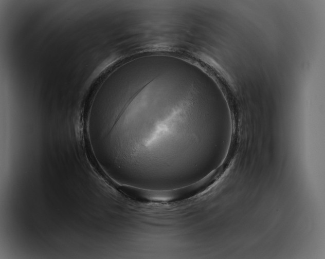 X0000095121450200712141126