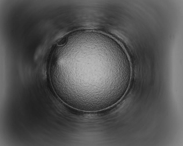 X0000095121451200712141126