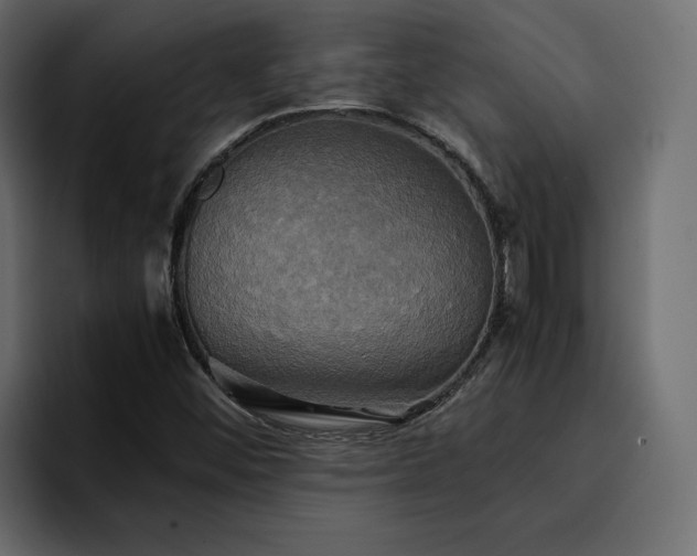 X0000095121452200712141126