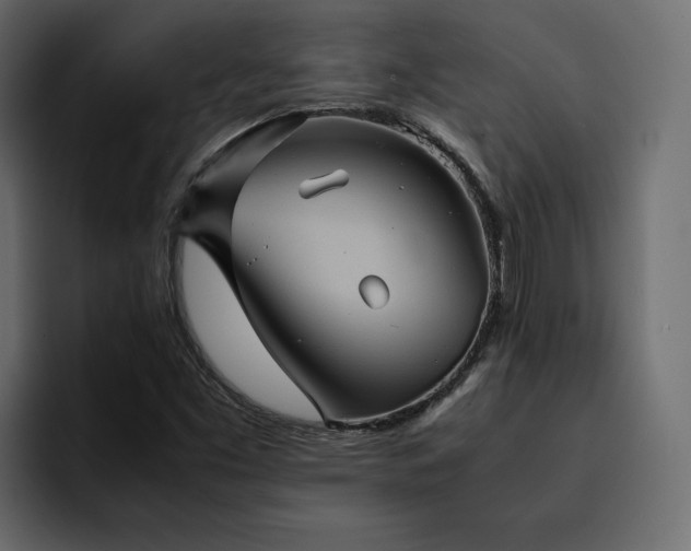 X0000095121453200712141126