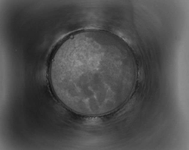 X0000095121454200712141126