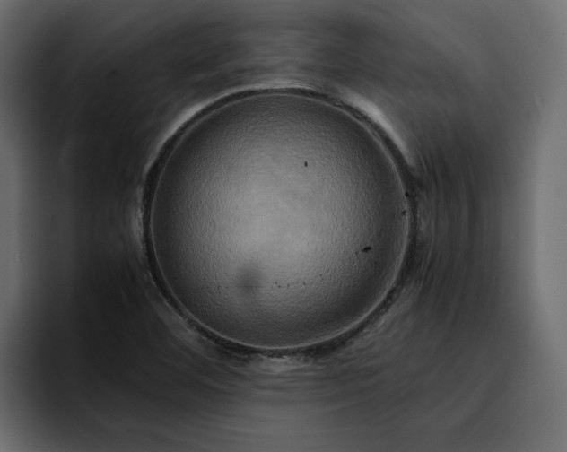 X0000095121460200712141126