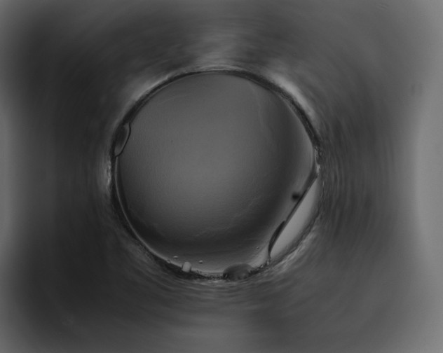 X0000095121461200712141126