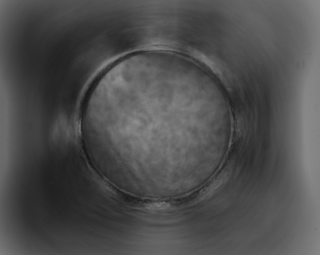 X0000095121462200712141126