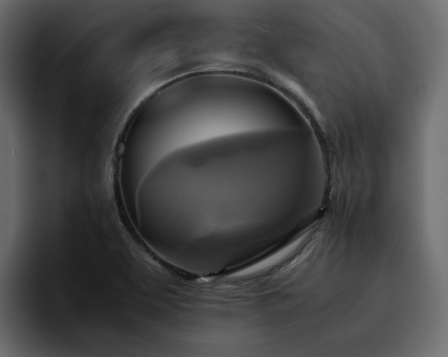 X0000095121463200712141126