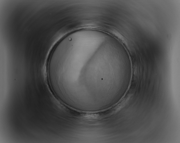 X0000095121466200712141126