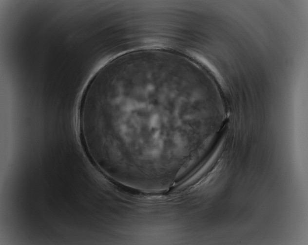 X0000095121467200712141126