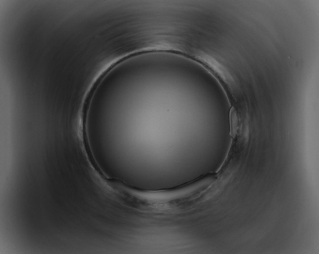 X0000095121468200712141126