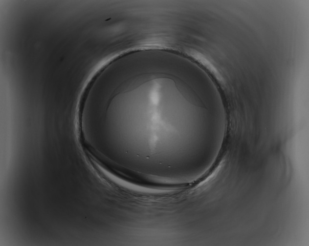 X0000095121469200712141126