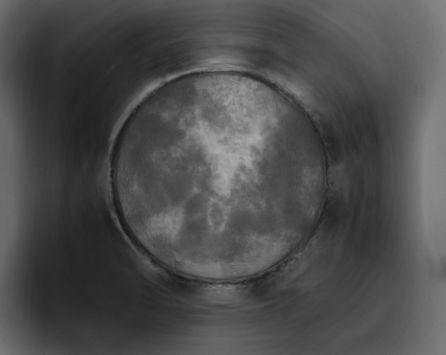 X0000095121470200712141126