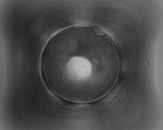 X0000095121471200712141126