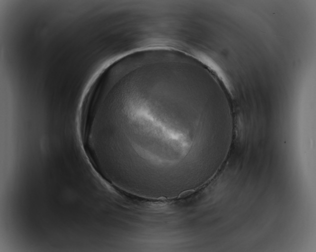 X0000095121472200712141126