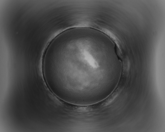 X0000095121480200712141126