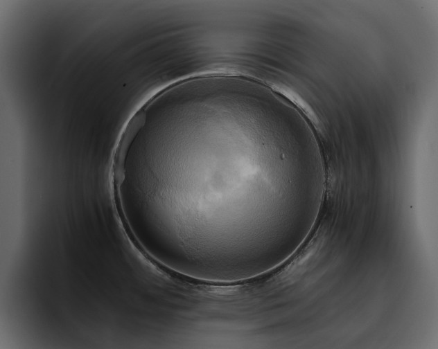 X0000095121484200712141126