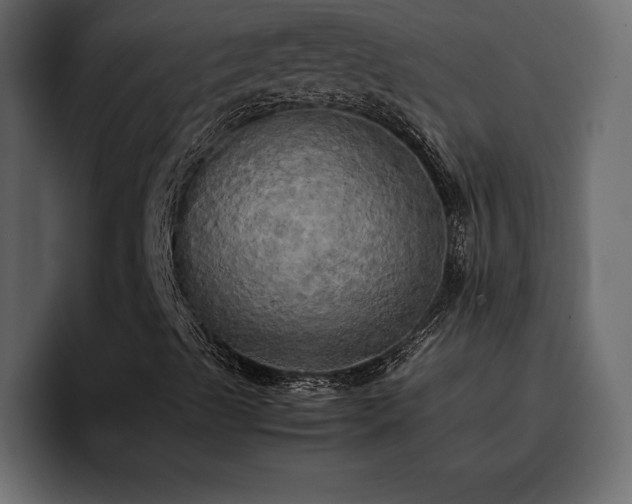 X0000095121489200712141125