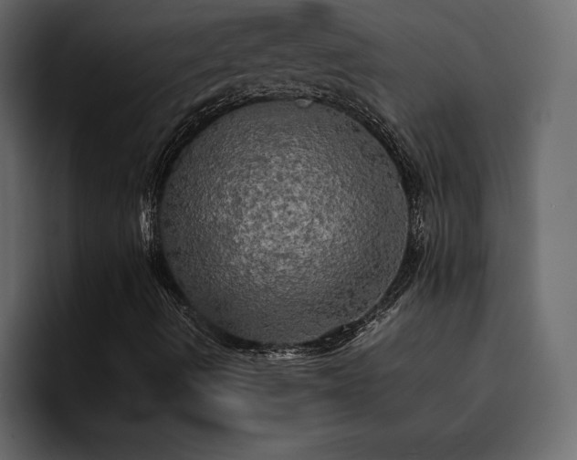 X0000095121490200712141125