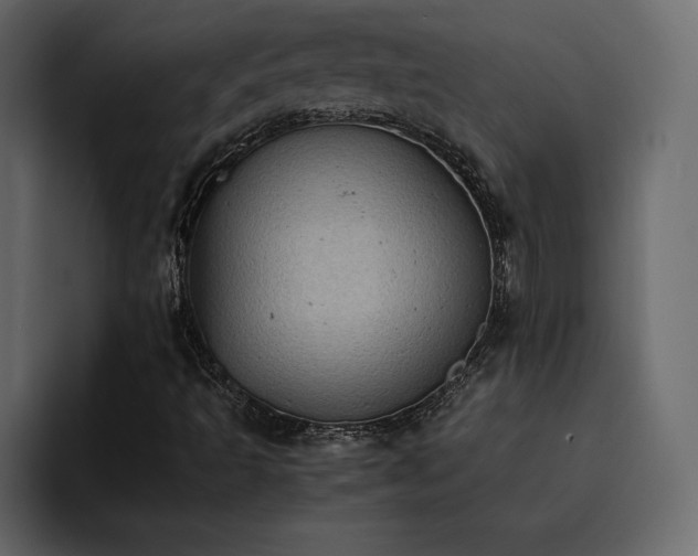 X0000095121493200712141125