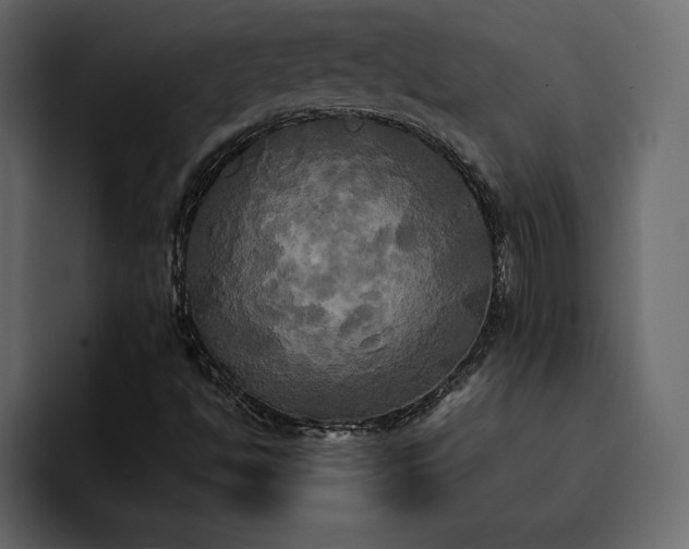 X0000095121494200712141125