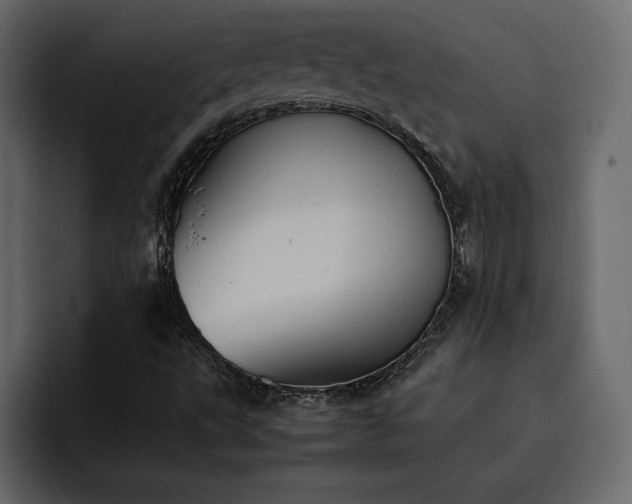 X0000095121495200712141125