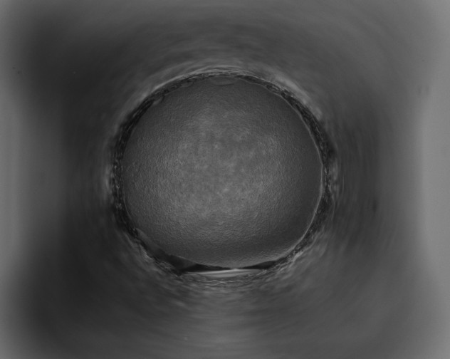 X0000095121496200712141125