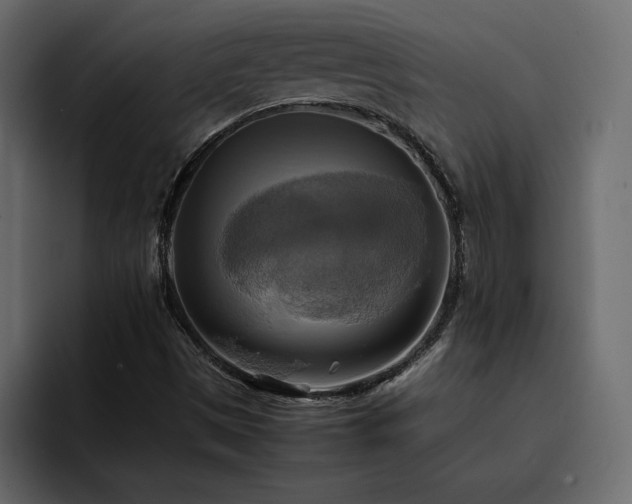 X0000095121497200712141125