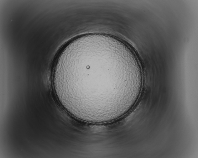 X0000095121498200712141125