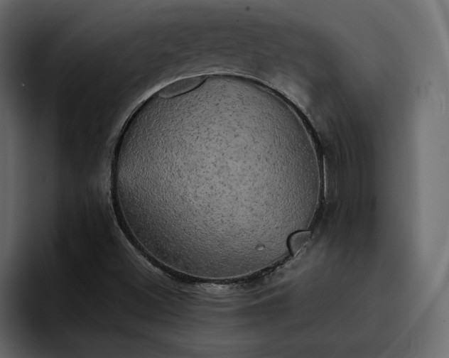 X0000095121500200712141125