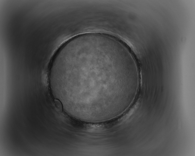 X0000095121501200712141125