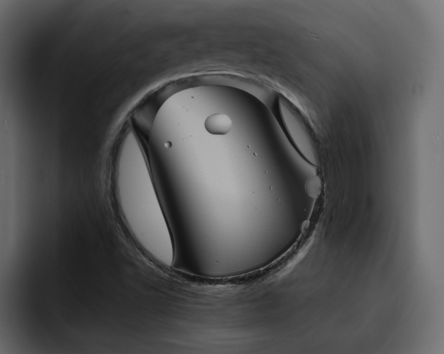 X0000095121502200712141125