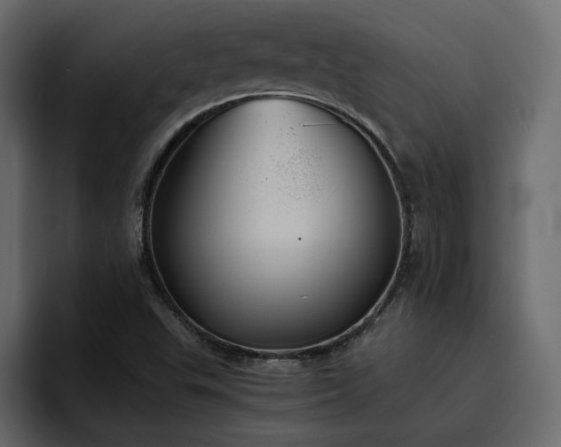 X0000095121503200712141125