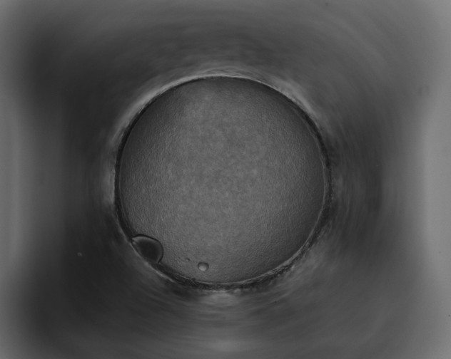 X0000095121504200712141125