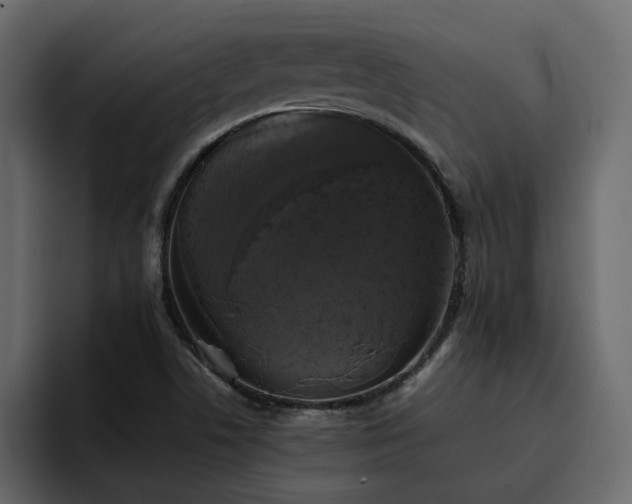 X0000095121506200712141125