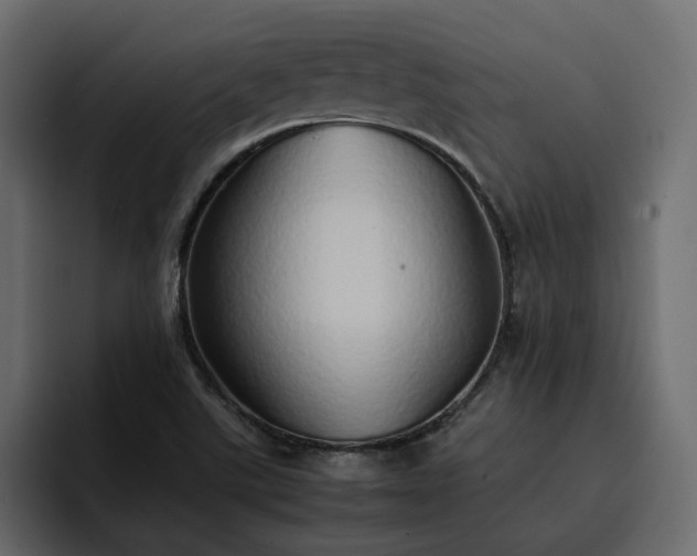 X0000095121507200712141125