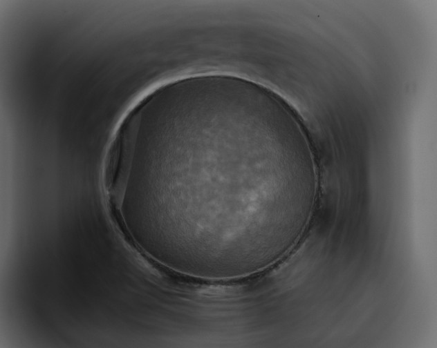 X0000095121510200712141125