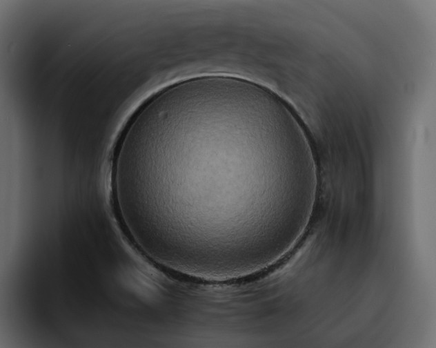 X0000095121511200712141125