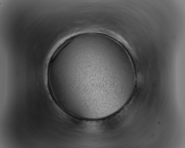 X0000095121512200712141125