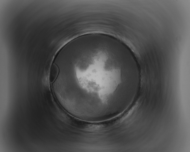 X0000095121513200712141125