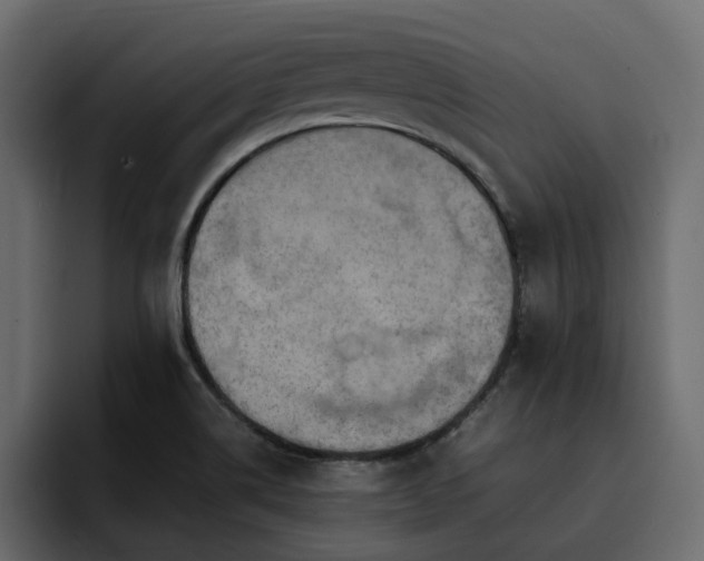 X0000095121514200712141125