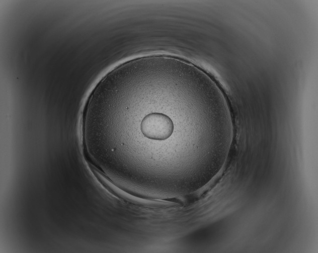 X0000095121516200712141125