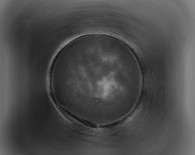 X0000095121517200712141125