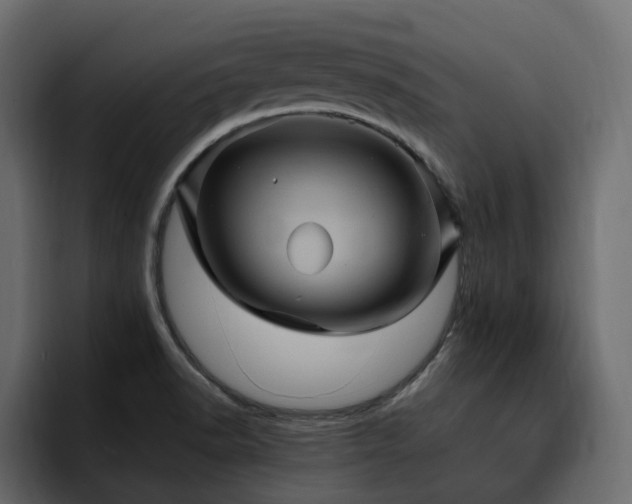 X0000095121518200712141125